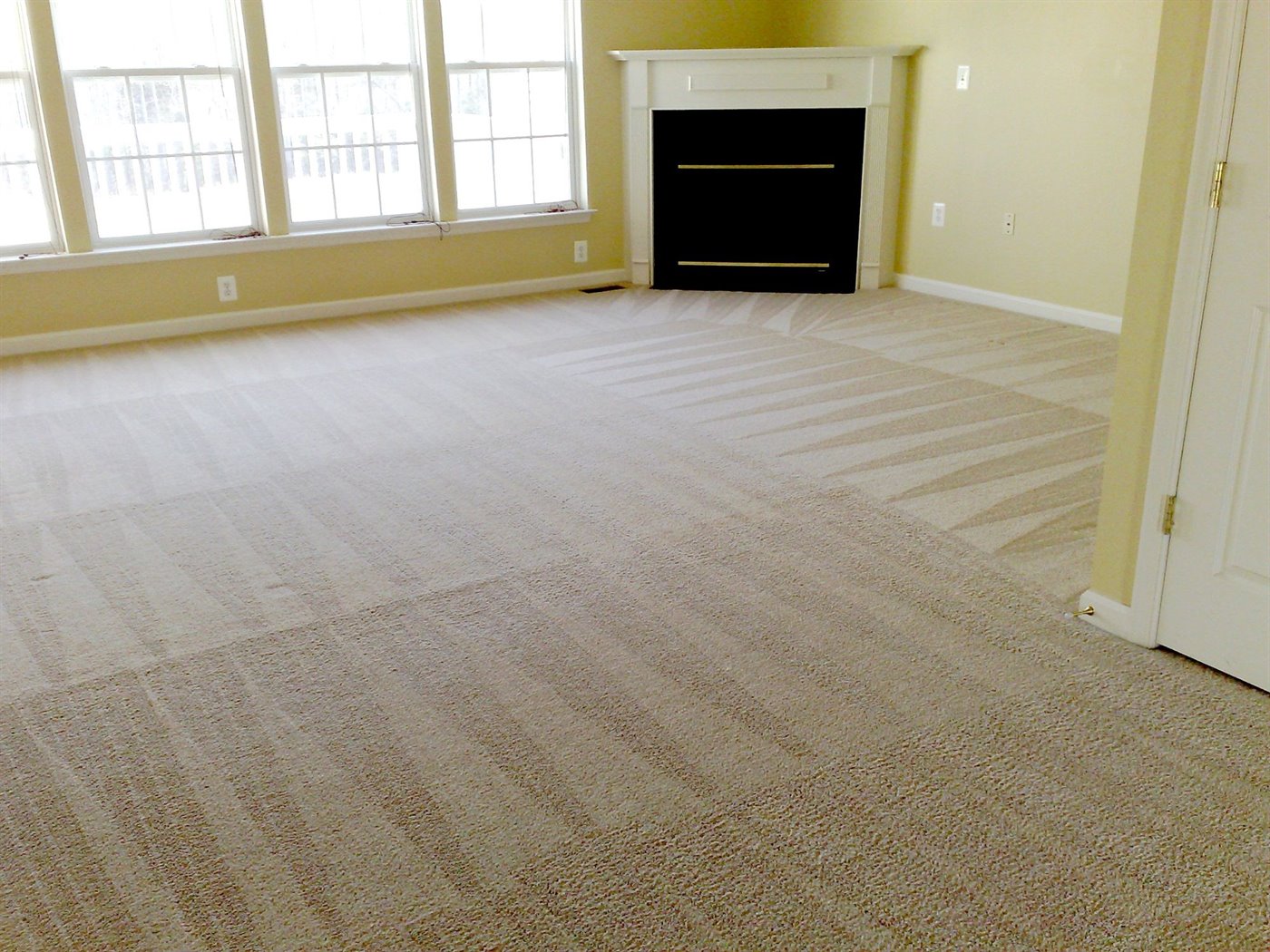 A living room carpet freshly cleaned with visible even vacuum lines